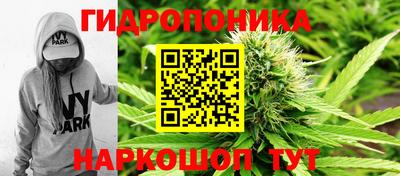 трава Северобайкальск