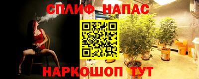 трава Северобайкальск