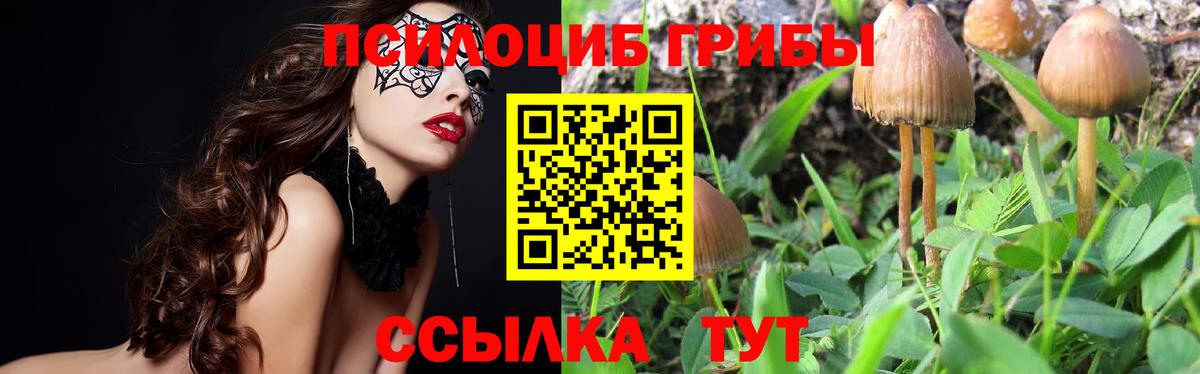 Псилоцибиновые грибы прущие грибы Россошь
